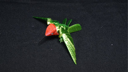 Humming Bird