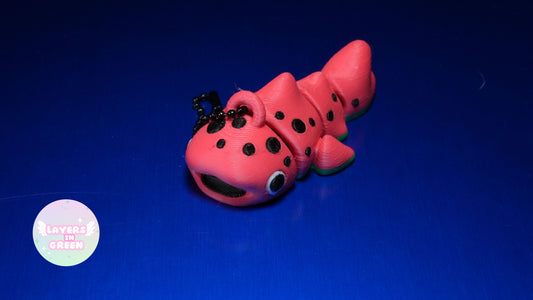 Watermelon whale shark