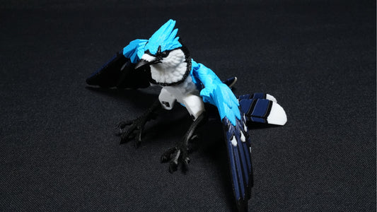 Blue Jay