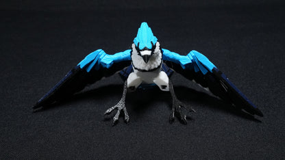 Blue Jay