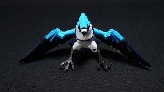Blue Jay
