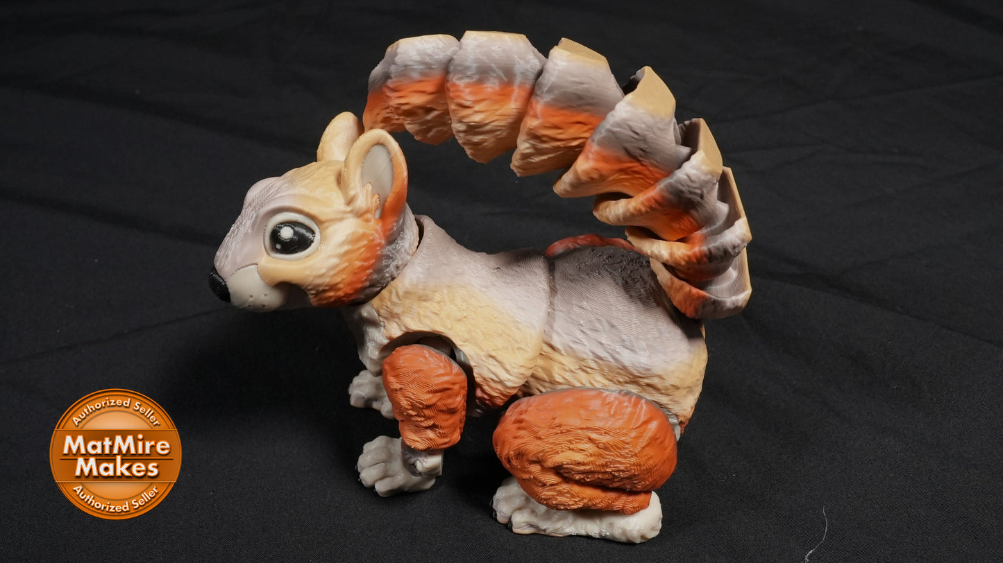 Squirrel