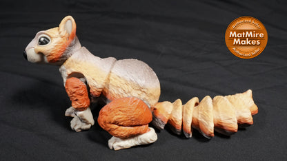 Squirrel